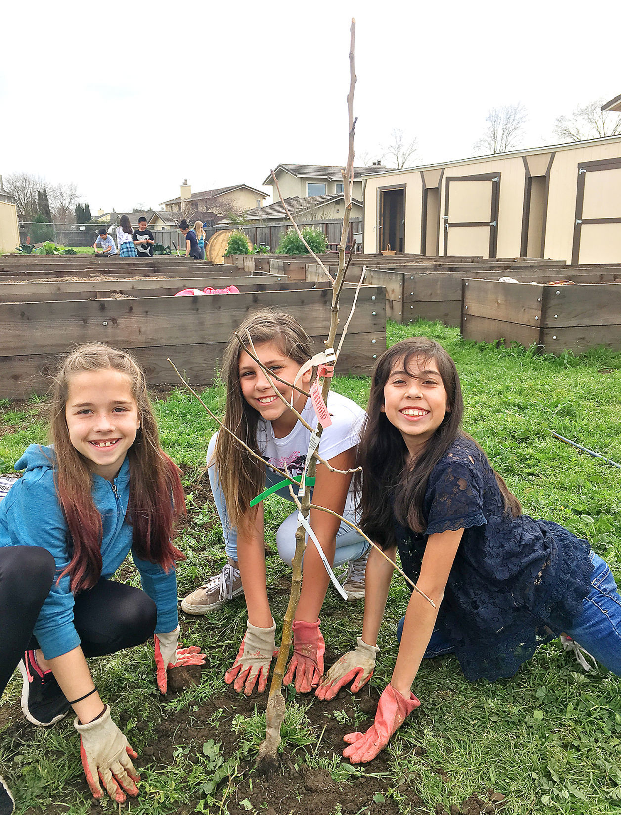 Faces and Places, April 1